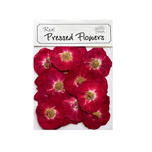 May include: A package of real pressed flowers. The flowers are a deep red with yellow centers. The package has a white label with the words "Real Pressed Flowers" and "Nature's Pressed" printed on it.