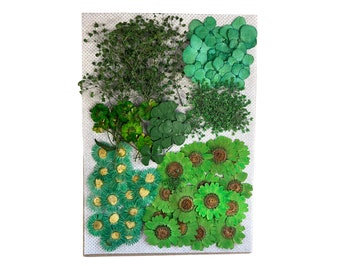 Green Meadow Mega Pack 100 Flowers (Flowers may vary)