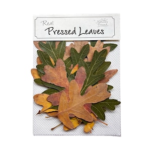 Oak Fall/Green Assorted 16 Leaves