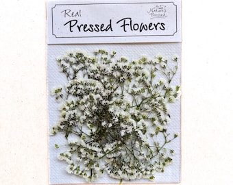 Baby&#39;s Breath White 100 Flowers