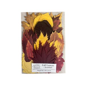 May include: A rectangular package of assorted pressed fall leaves. The leaves are in shades of yellow, red, brown, and orange. The package has a white label with the text "Nature's Pressed Fall Leaves - Assorted - MegaPAK 100 Leaves."