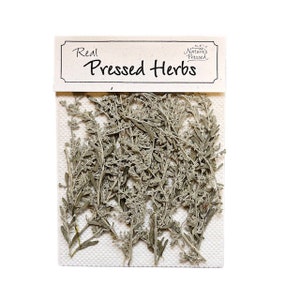 May include: A package of dried, pressed silver-green herbs labeled "Real Pressed Herbs" with a smaller label that reads "Nature's Pressed".
