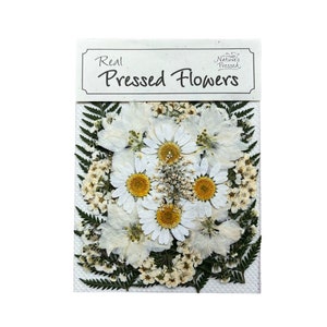 Peut inclure: Un paquet de fleurs séchées, comprenant des marguerites blanches, des fougères et de petites fleurs blanches. Le paquet est étiqueté "Real Pressed Flowers" avec un petit logo qui dit "Nature's Pressed".