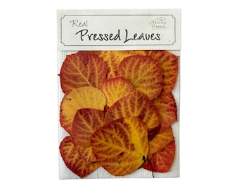 Pressed Fall Aspen Leaves – For Resin, Scrapbooking, Crafts. 20 Leaves