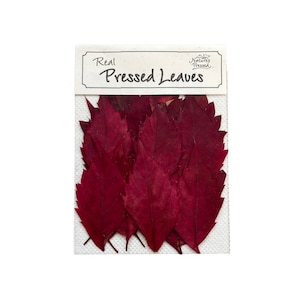 May include: A package of real pressed leaves. The leaves are a deep burgundy red color and are arranged in a pile. The package is labeled "Real Pressed Leaves" and has a small logo that says "Nature's Pressed".