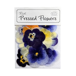 Può includere: Un pacchetto di fiori pressati veri, con una varietà di violette viola, blu, gialle e arancioni. Il pacchetto è etichettato "Real Pressed Flowers" e "Nature's Pressed".