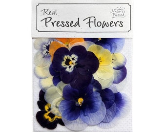 May include: A package of real pressed flowers, featuring a variety of purple, blue, yellow, and orange pansies. The package is labeled "Real Pressed Flowers" and "Nature's Pressed".