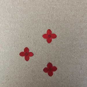 May include: Three red paper flowers are arranged on a brown paper background.