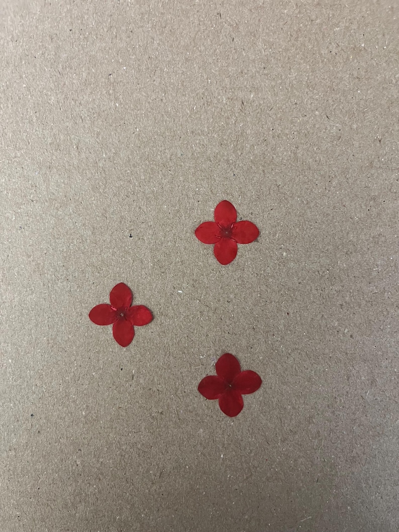 May include: Three red paper flowers are arranged on a brown paper background.