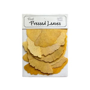 May include: A package of real pressed leaves, featuring a stack of yellow ginkgo leaves. The package is labeled "Real Pressed Leaves" with a small logo that says "Nature's Pressed".