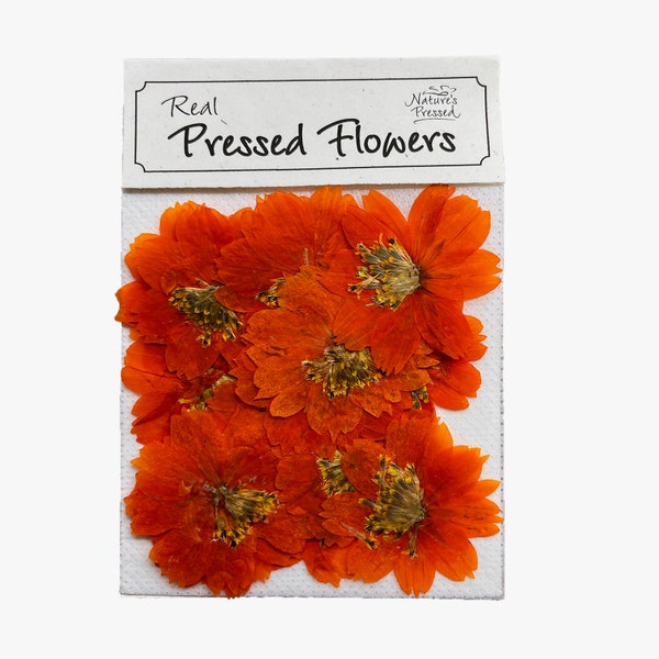 Cosmos Orange (Edible) 16 Flowers