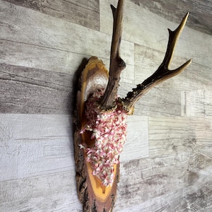 Dried Flowers Decorated Deer Skull Wall Decor Responsibly Sourced Pink White
