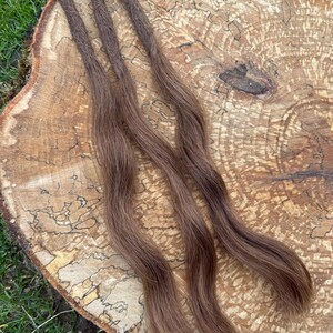 x3 Chunky Raw Dark Blonde  100% Human Hair Dreadlock Extensions 14 Inch Single ended Looped