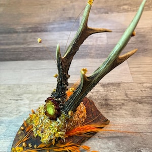 Dried Flowers Decorated Deer Skull Wall Decor Responsibly Sourced Orange Yellow