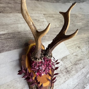 Dried Flowers Decorated Deer Skull Wall Decor Responsibly Sourced Plum Rose