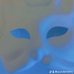 Custom therian masks!