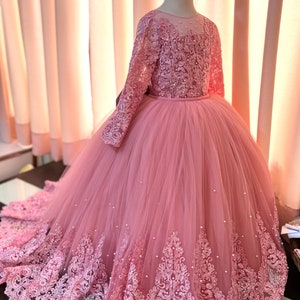 May include: A pink tulle ball gown with long sleeves and a lace bodice. The dress has a full skirt and a beaded trim.