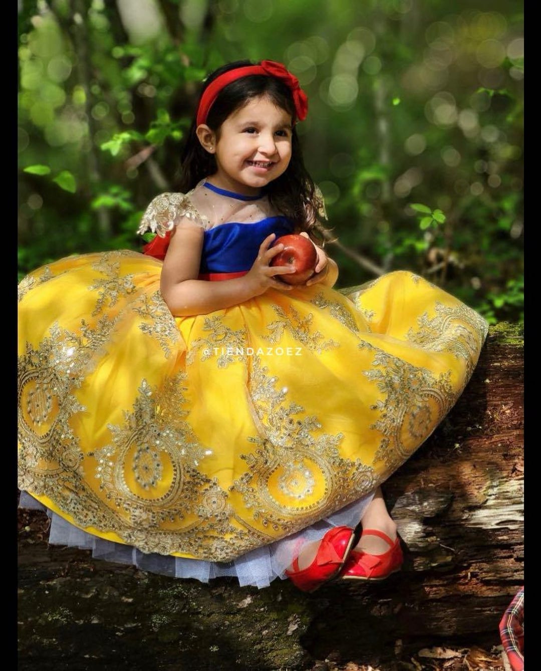 Buy Snow White Inspired Dress, Dresses for Girls, Birthday Dress