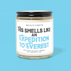 This Smells Like an Expedition to Everest | Disney Candle |  Classic Disney Inspired | Disney Home Decor | Disney Scent | Disney Gift