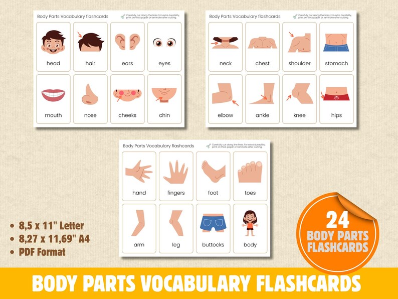 Montessori Body Parts Vocabulary Flashcards – 24 Printable ESL Cards ...