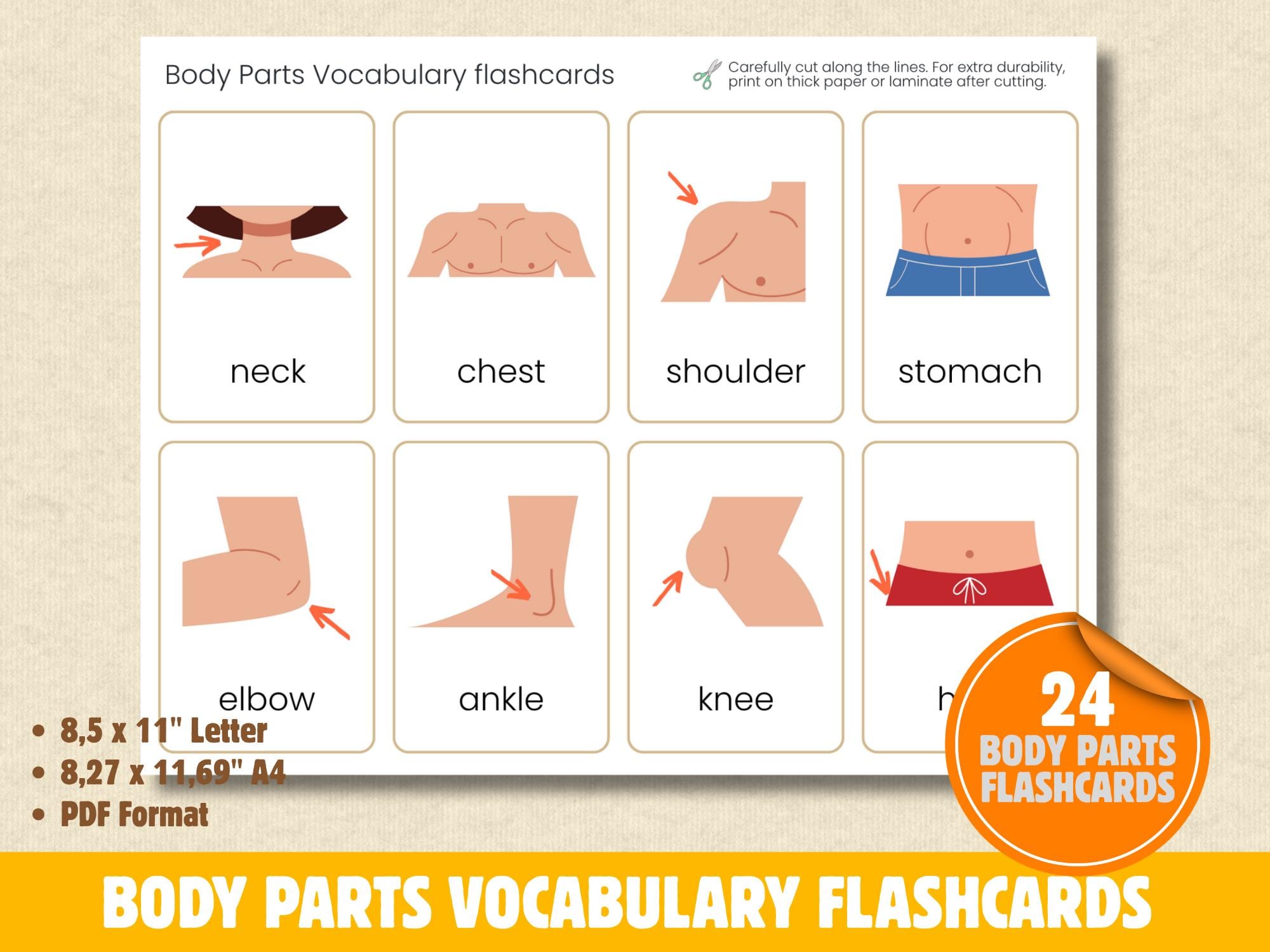 Montessori Body Parts Vocabulary Flashcards – 24 Printable ESL Cards ...