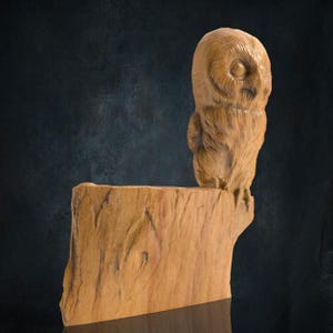 Baby Owl 3D CNC Router Files, 3d stl file, Cnc Relief, vectric, aspire, easel, cnc cut files, 2.5d files owl 3d model