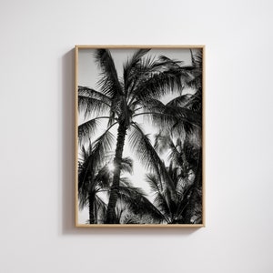 Waikīkī Palms, Waikiki Beach Art, Palm Tree Wall Art, Beach Photography, Digital Download, Hawaii Photography