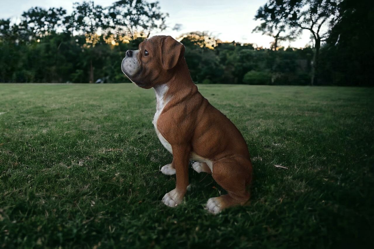 Large Boxer Dog Statue Resin Boxer Dog Figure Plastic Garden Decoration Etsy