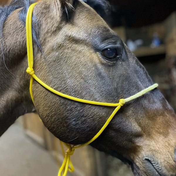 Licol éthologique PERSONNALISÉ en corde avec/sans noseband