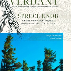 Pode incluir: Um cartaz com as palavras "zephyr VERDANT" e "SPRUCE KNOB" em verde escuro, com um design de mapa topográfico. O cartaz inclui o texto "canaan valley, west virginia" e "altitude 1.482 m | 38°42'00"N 79°31'58"W". A parte inferior mostra uma foto de árvores contra um céu azul.