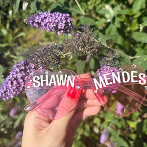 handmade Shawn mendes concert glasses