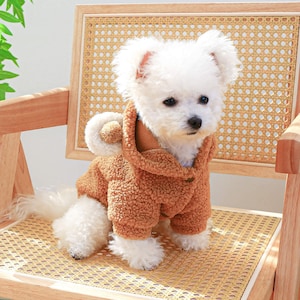 Maltipoo Harness Etsy UK