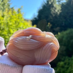 Yanyuan Agate Nine-Tailed Fox Pendant: Sichuan Old Mine Gemstone #2085