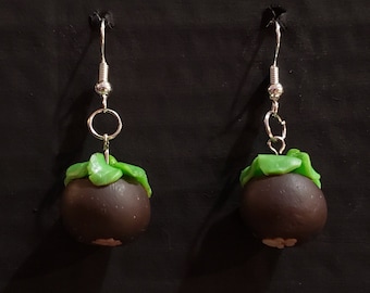 Mangosteen (Garcinia Mangostana) Earrings