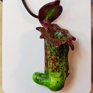 Pitcher Plant (Nepenthes maxima) Necklace