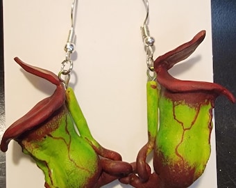Kolczyki z dzbanecznika (Nepenthes Ventricosa)
