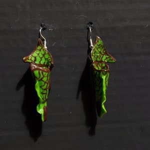 North American Pitcher Plant (Sarracenia Purpurea) Earrings