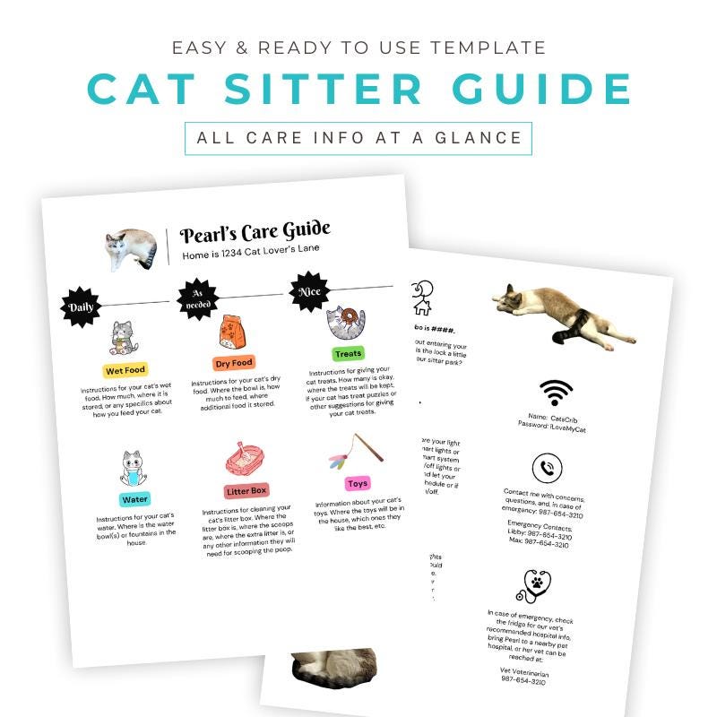 Cat Sitter Template - Etsy