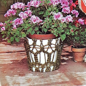 May include: A pink and white flowering plant in a white pot with a brown crocheted cover. The pot is sitting on a wooden deck.