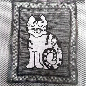 Könnte beinhalten: Eine schwarz-weiße gehäkelte Katze mit einem eingerollten Schwanz sitzt in einem grauen gehäkelten quadratischen Rahmen. Der Rahmen hat einen weißen und grauen Rand.