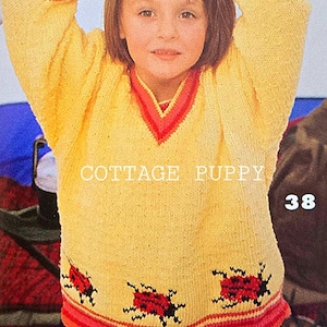 May include: A yellow knitted sweater with a red and pink trim and ladybug designs. The sweater has a V-neck and long sleeves. The text "COTTAGE PUPPY" and the number "38" are visible on the sweater.