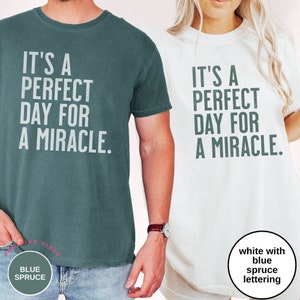 FIV Perfect Day for Miracle Transfer Chemise de jour Faire une chemise miracle Cadeaux de FIV Maman dans la fabrication d'une chemise de récupération d'oeufs Ttc IUI Cadeaux d'infertilité