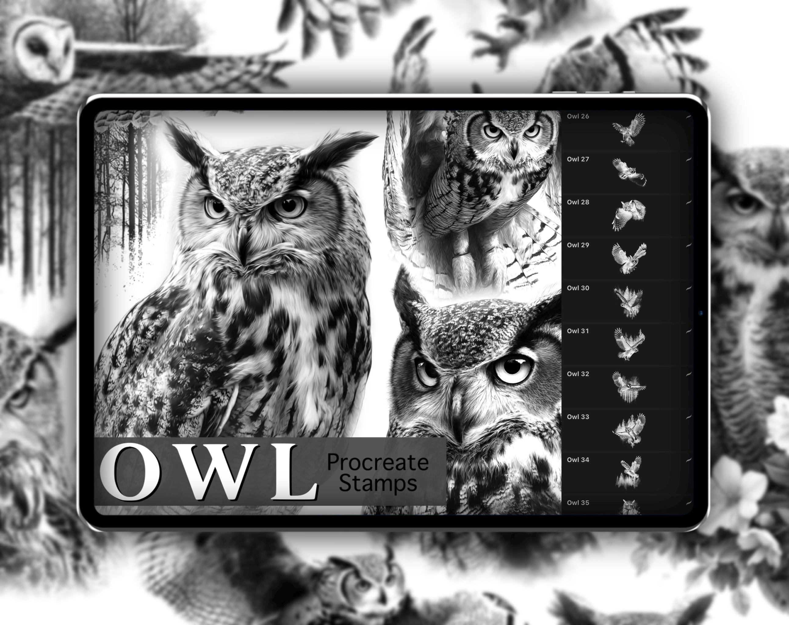 Owl Realism Procreate Stamp Set 1 - 50 Owl Bird, Forest Nature Brush Stamps | Illustration | Tattoo 