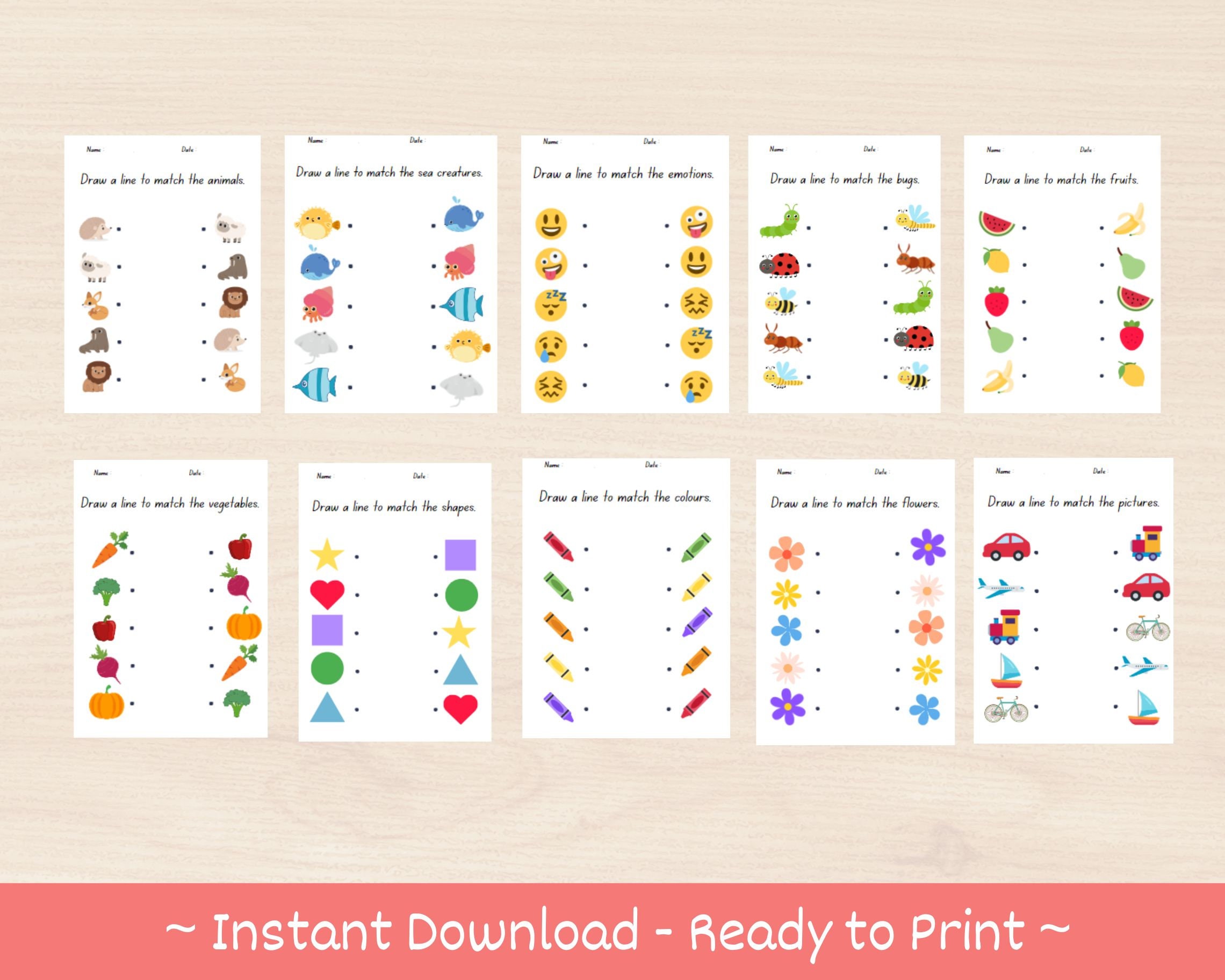 Picture Matching Worksheets | 10 Pages of Match the Picture | Ready to ...