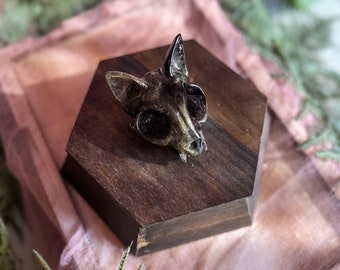 Cat Skull Desk Decor