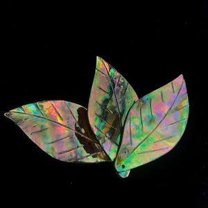 Abalone Mother of Pearl Leaf Sku#M845