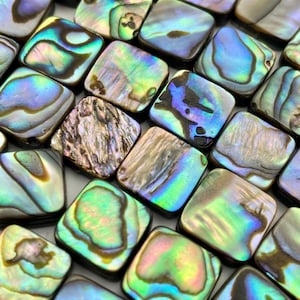 Square Abalone Mother of Pearl Sku#M1012-1
