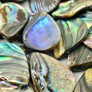 Tear Drop Abalone Mother of Pearl Sku#M918