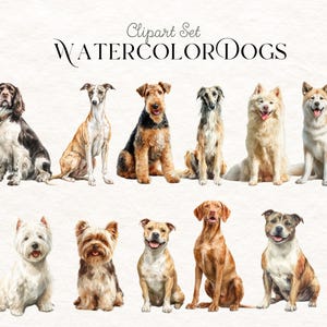 Dog Breeds Clip Art Bundle, Hand Drawn Puppy Illustrations, Cute Pet ...