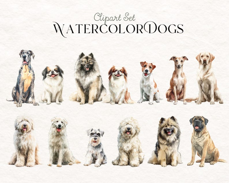 Dog Breeds Clip Art Bundle, Hand Drawn Puppy Illustrations, Cute Pet ...